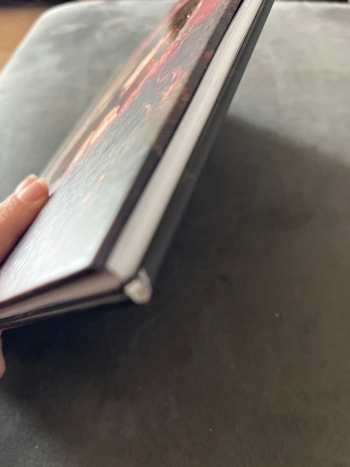Bd les carnets de cerise tome 1 - photo numéro 2
