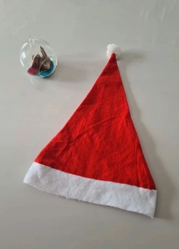 Bonnet de Noël adulte mixte