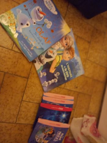 Lots de livres sur la "reine des neige"