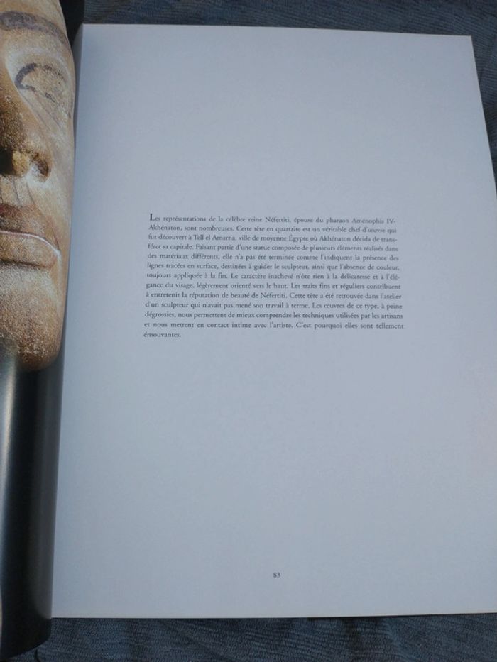 Très beau livre hommage à l'Égypte de Sandro vannini - photo numéro 8