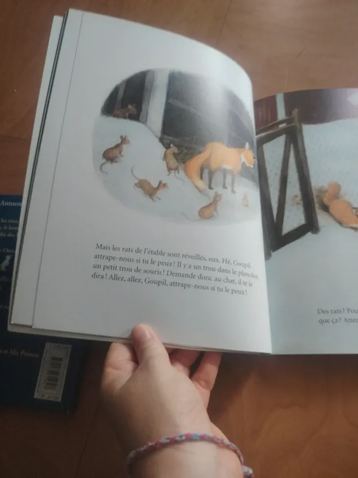 Le renard et le lutin - photo numéro 6