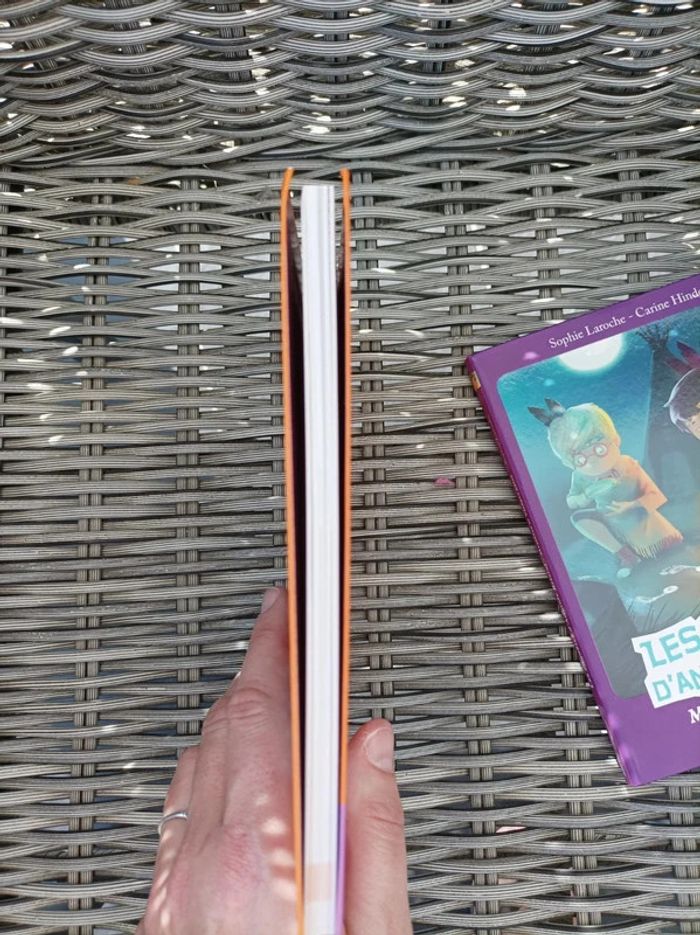 Lot de livres d enquêtes Anatole Bristol neufs - photo numéro 5