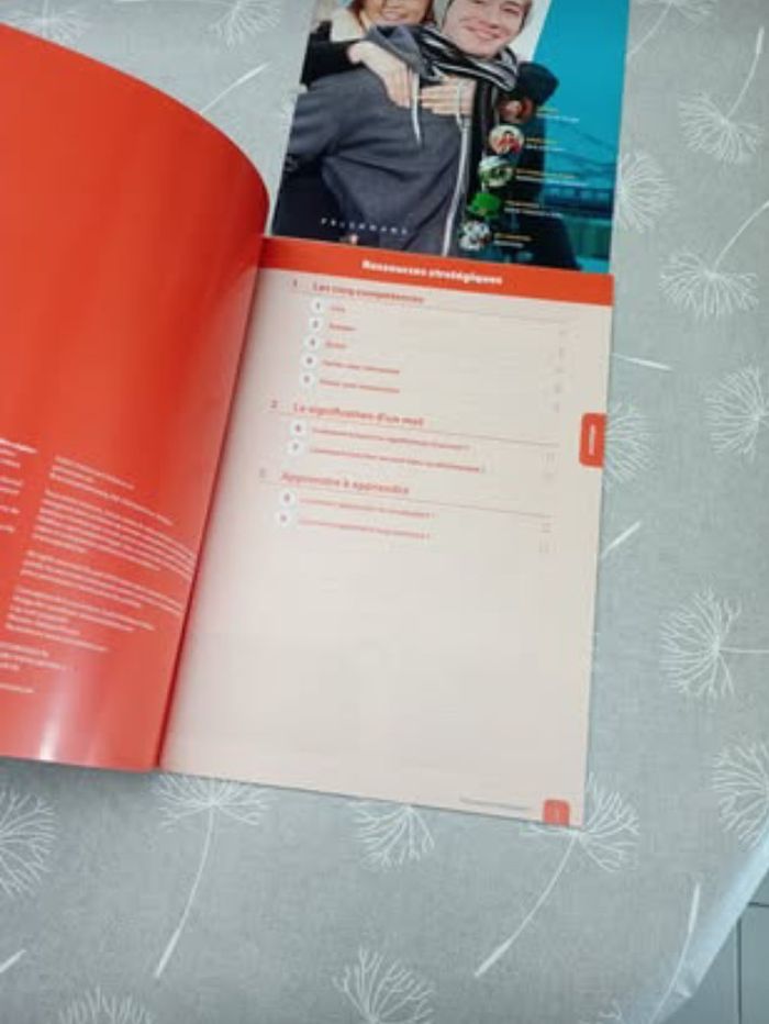 Ressources de Step Up 2 - photo numéro 3