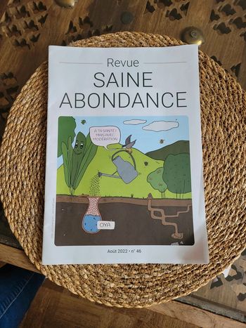Saine Abondance n*46