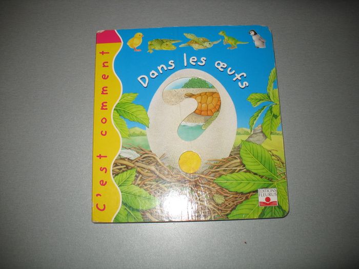 LIVRE : C'EST COMMENT DANS LES ŒUFS "ÉDITIONS FLEURUS" - n°25