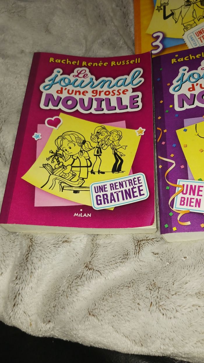 3 livres. Le journal d'une grosse nouille. - photo numéro 2