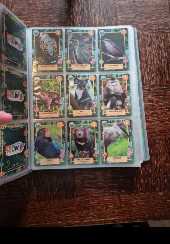 Rewild panini - photo numéro 4