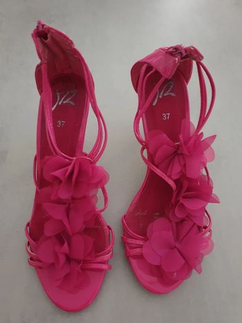 Talon fushia