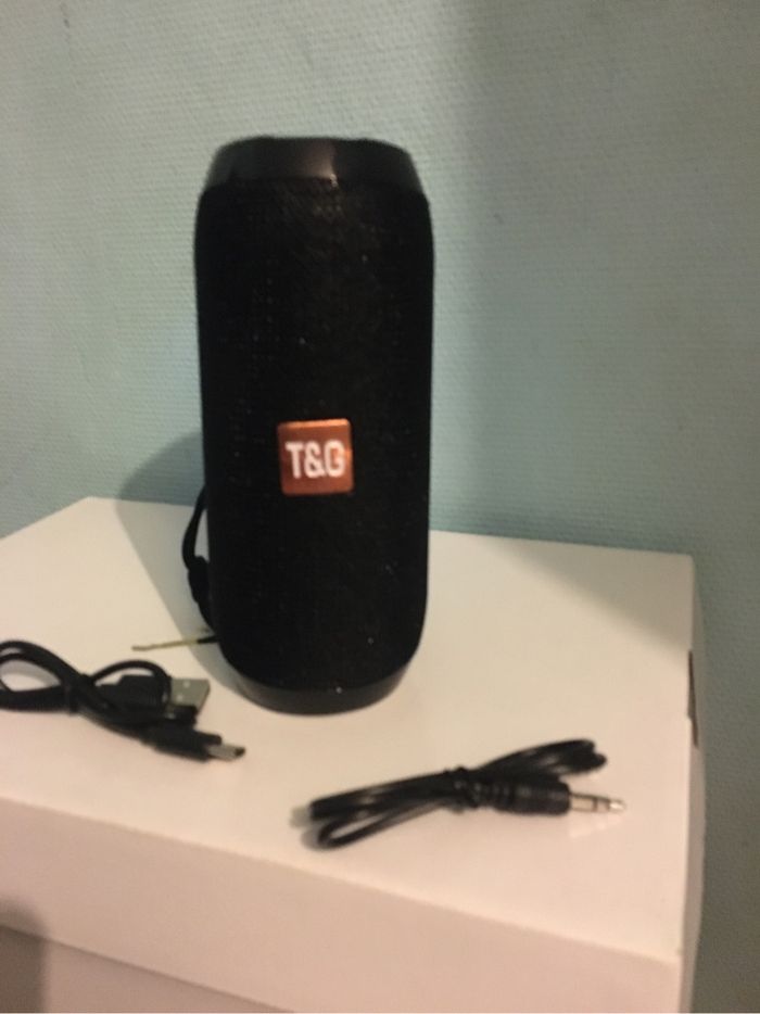 Enceinte Tg - photo numéro 2