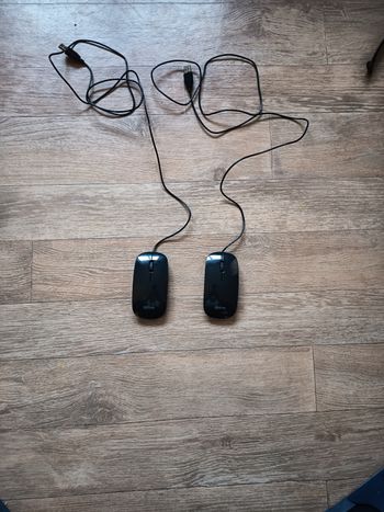 Souris Qilive, 2