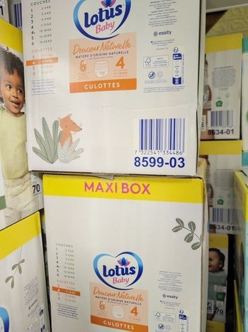 Lotus taille 4 2 cartons