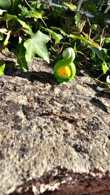 Super figurine Pokemon Nintendo Rozbouton