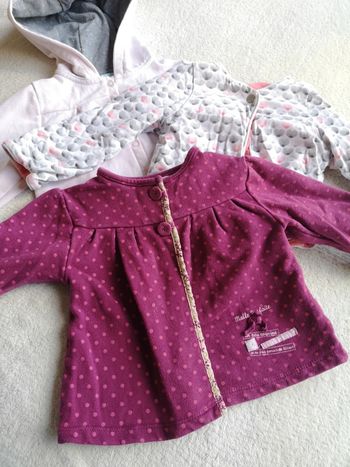 Lot 3 gilets 18 mois