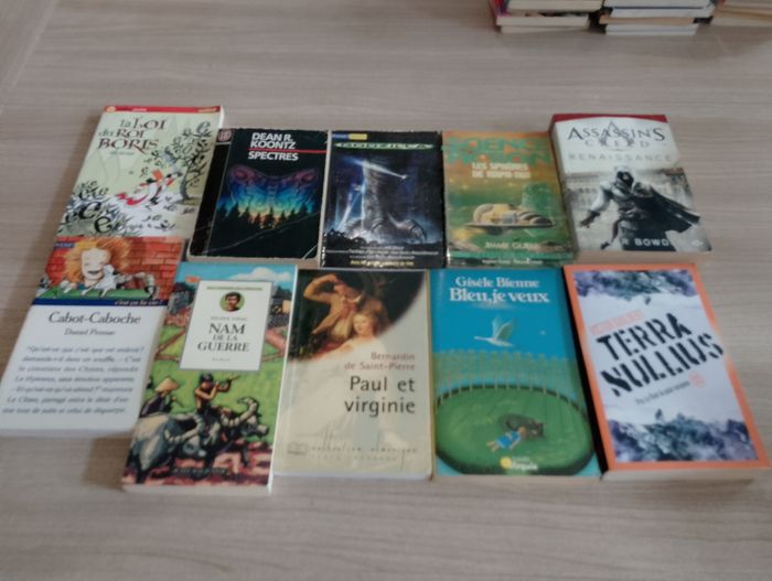 Lot de 10 livres de poches divers (15) - photo numéro 1