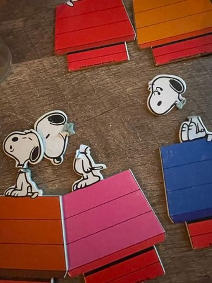 Snoopy et sa niche - photo numéro 6