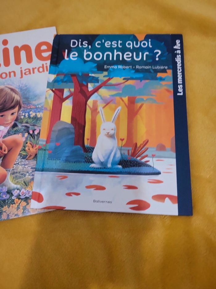 Lot de livre 2-6 ans - photo numéro 5