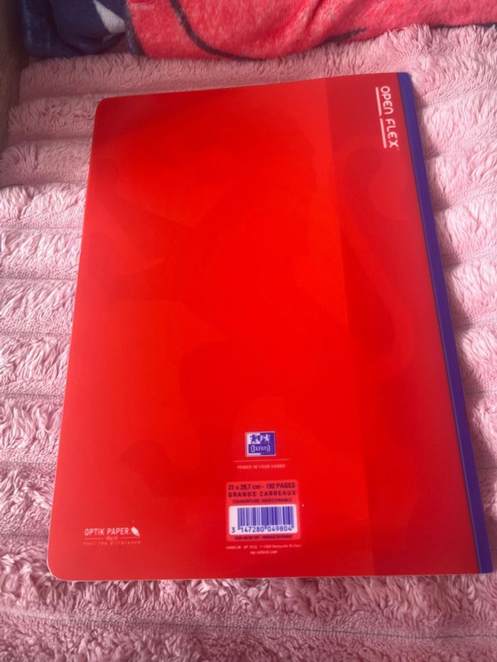 Cahier grand carreaux - photo numéro 4