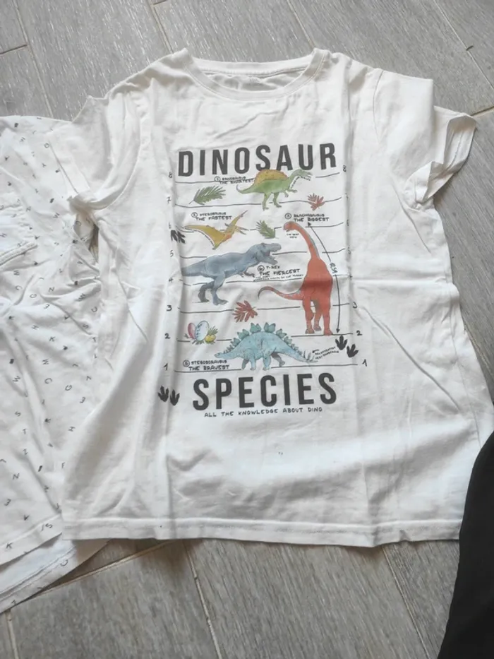 Lot 2 tee shirt taille 10 ans - photo numéro 2