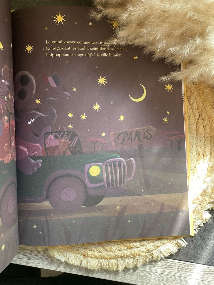 Safari à Paris, livre pour enfant - photo numéro 2