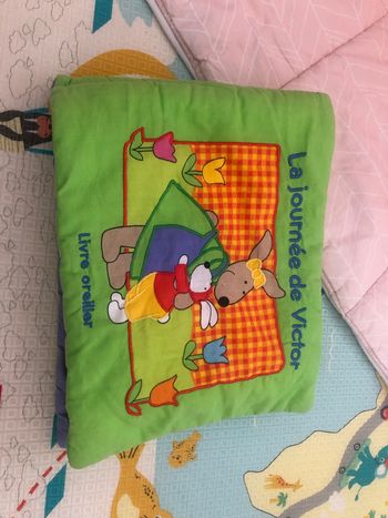 Livre oreiller tissu