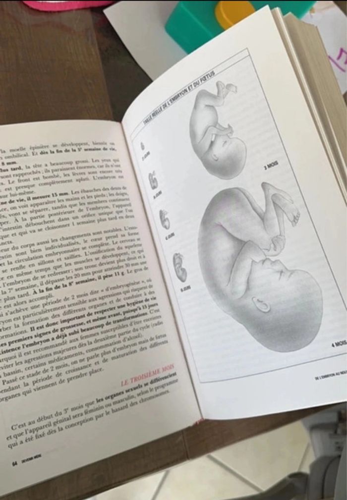 Livre m grossesse mon enfant - photo numéro 4