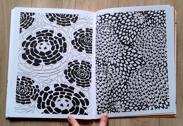 livre de coloriage Lattjo - photo numéro 9