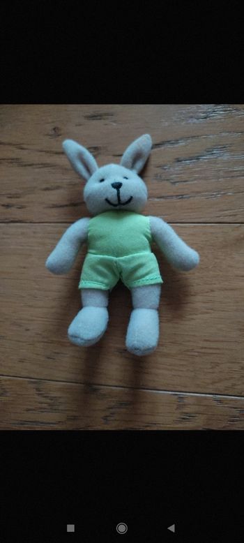Mini lapin