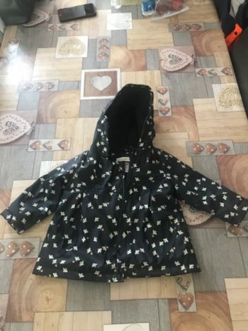 Manteau