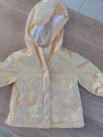 Veste