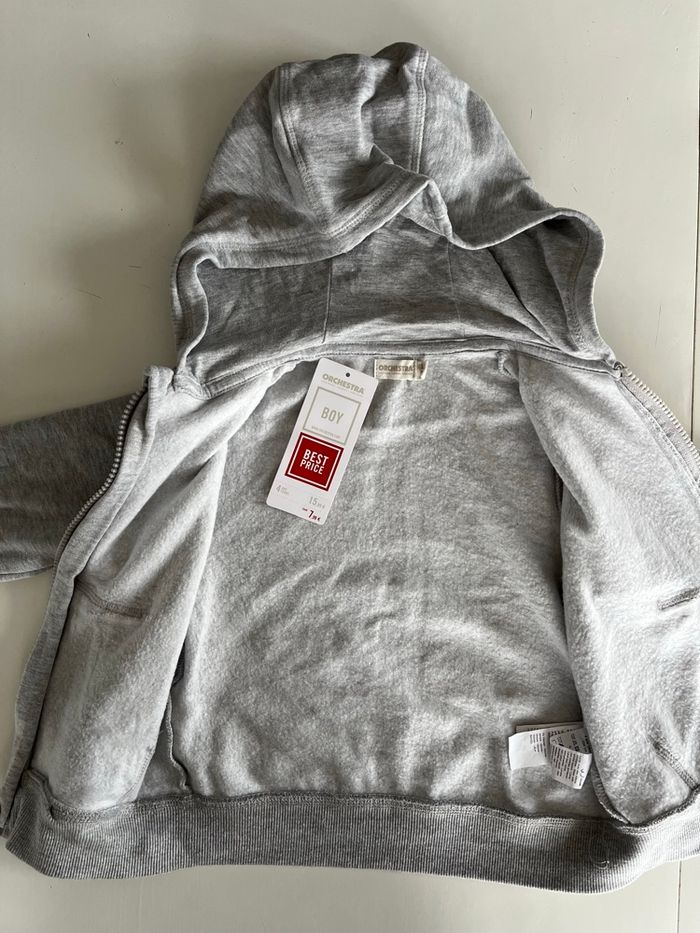 Sweat zippé à capuche gris clair 4 ans - photo numéro 2