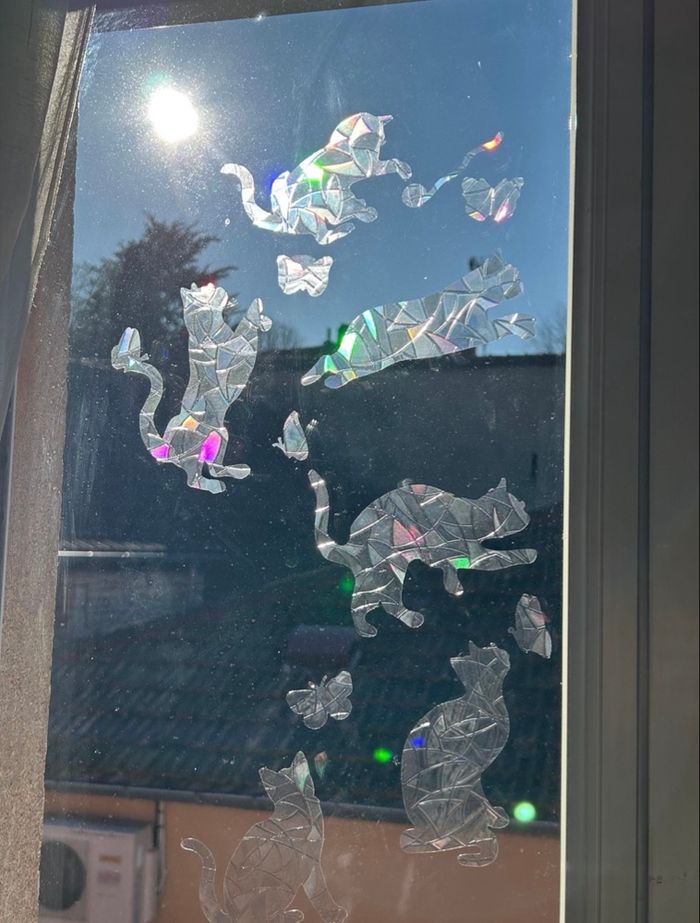 Autocollant Vitre avec Motif de Chat - Accessoire de Maison Coloré et Ludique - photo numéro 3