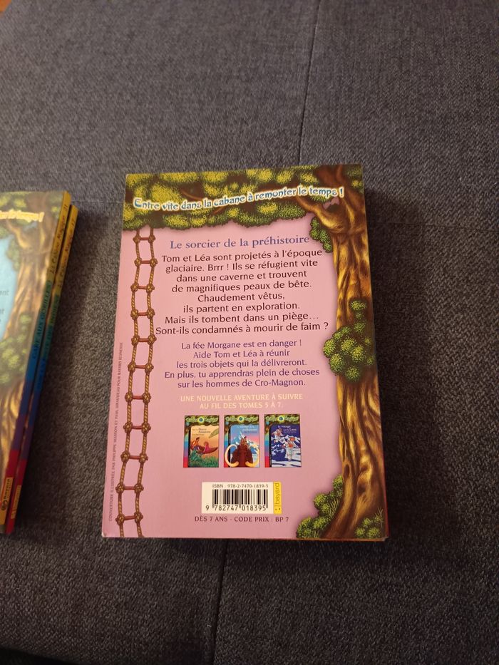 Le sorcier de la préhistoire (La Cabane Magique) - photo numéro 3