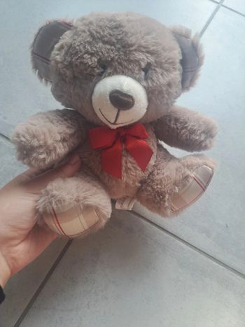 Ours en peluche