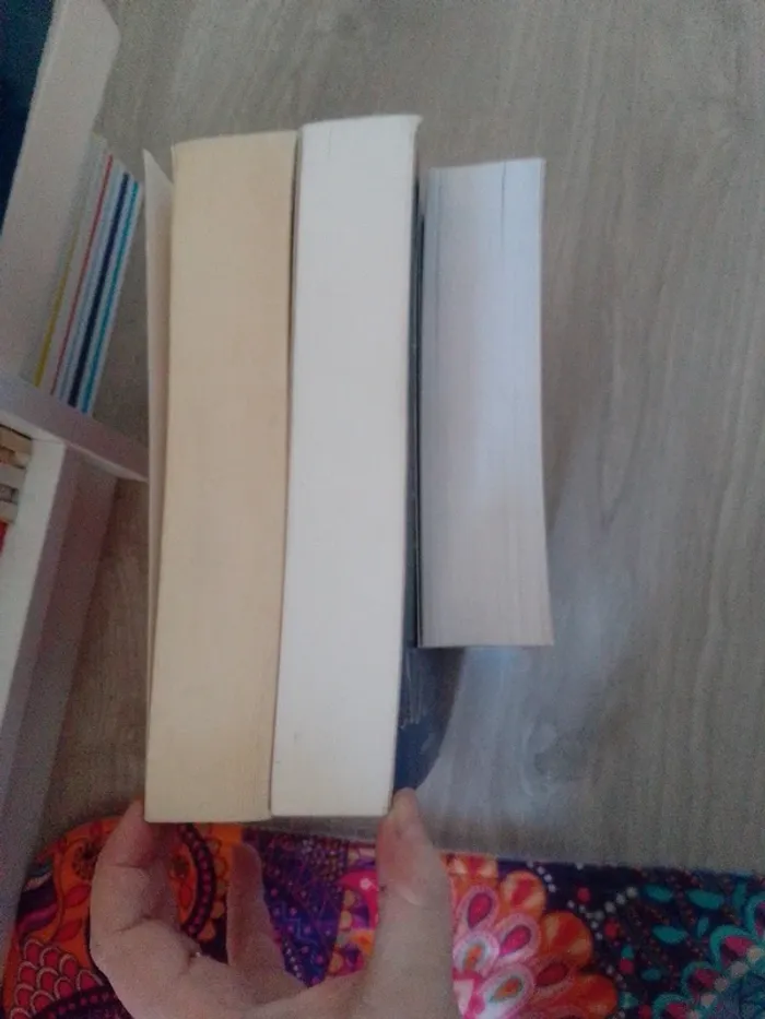 Lot de 3 livres dragons Eragon l'aîné brisinger - photo numéro 4