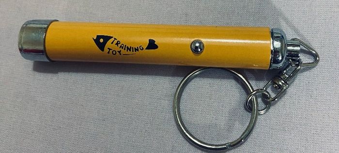 Porte clefs  pointeur laser