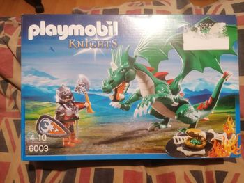 Playmobil grand dragon