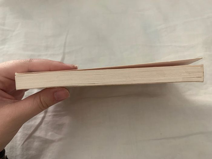 Le secret du caniche Marie-Jeanne Barbier - photo numéro 5