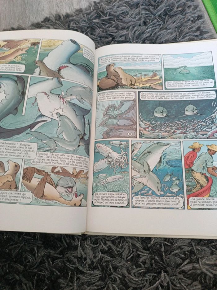 Encyclopédie illustrée le dauphin - photo numéro 3