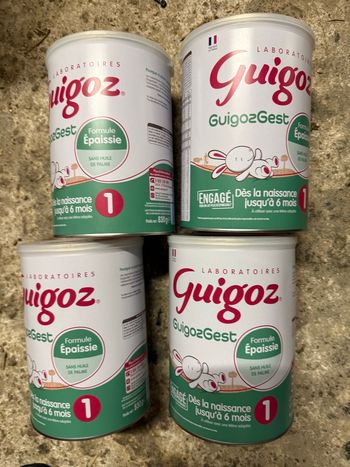 Lot de 4 boîtes guigoz gest 1er âge