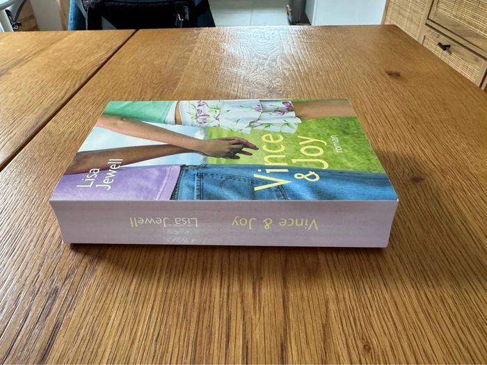 Lot de 2 livres La famille Comment en réchapper Vince & Joy – Lisa Jewell – Roman en français et - photo numéro 12
