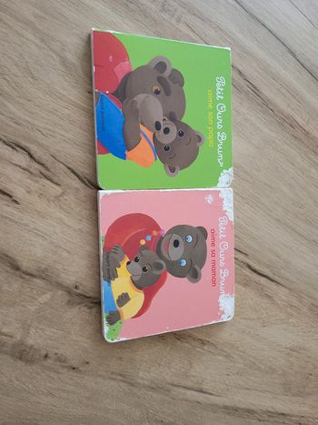 Livre petit ours brun
