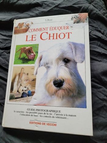 Comment éduquer le chiot