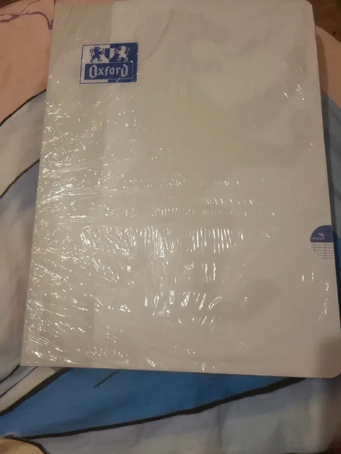 Lot de 4 cahiers oxford open flex 24x32cm - photo numéro 4