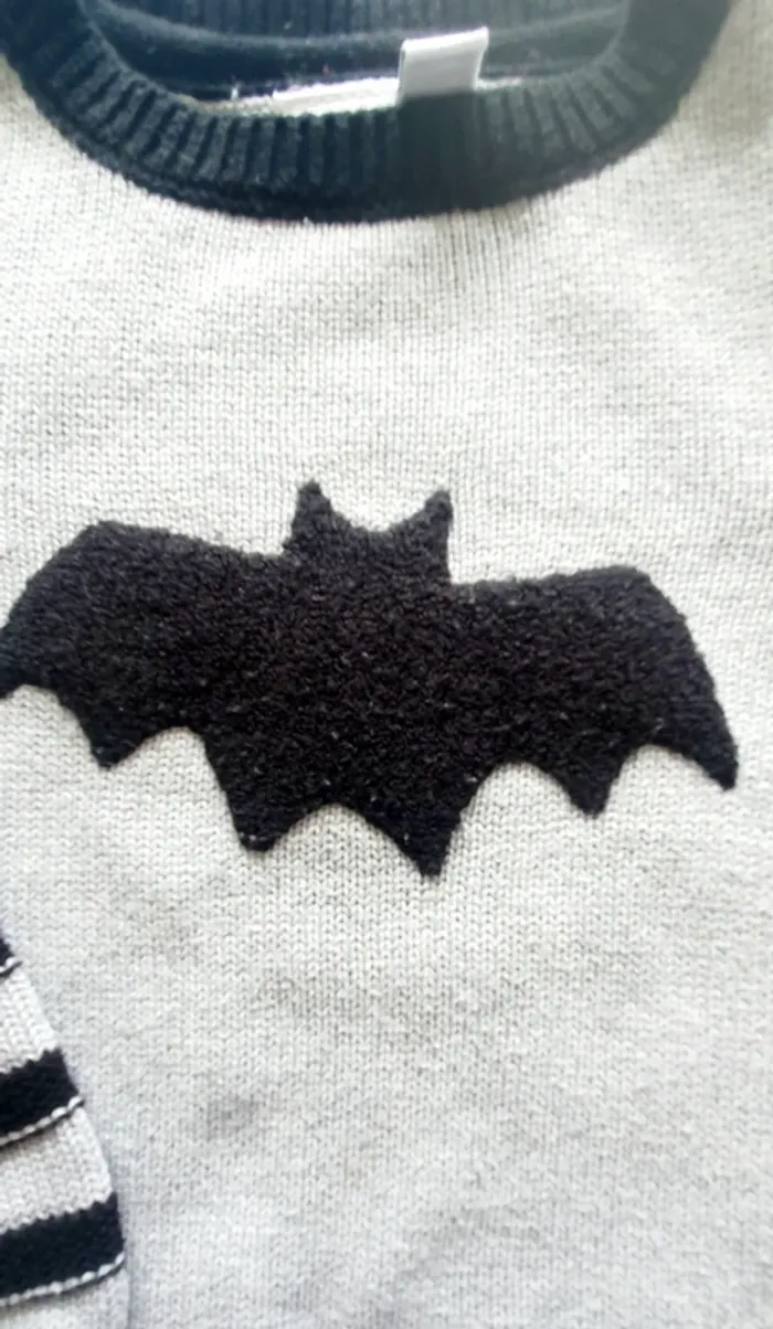 Pull Orchestra Batman 23 mois - photo numéro 4