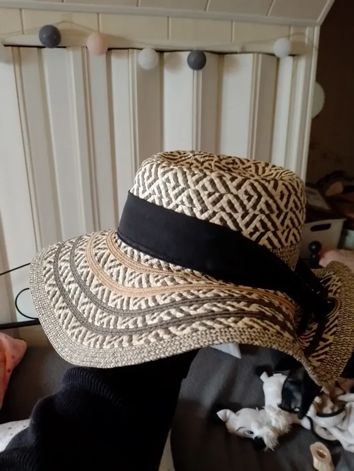 Chapeau - photo numéro 4