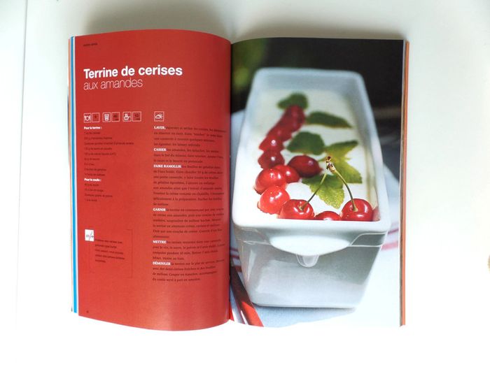 Livre Les terrines - photo numéro 2