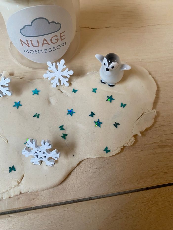 Kit sensoriel inspiration Montessori pâte à modeler arctique - photo numéro 3