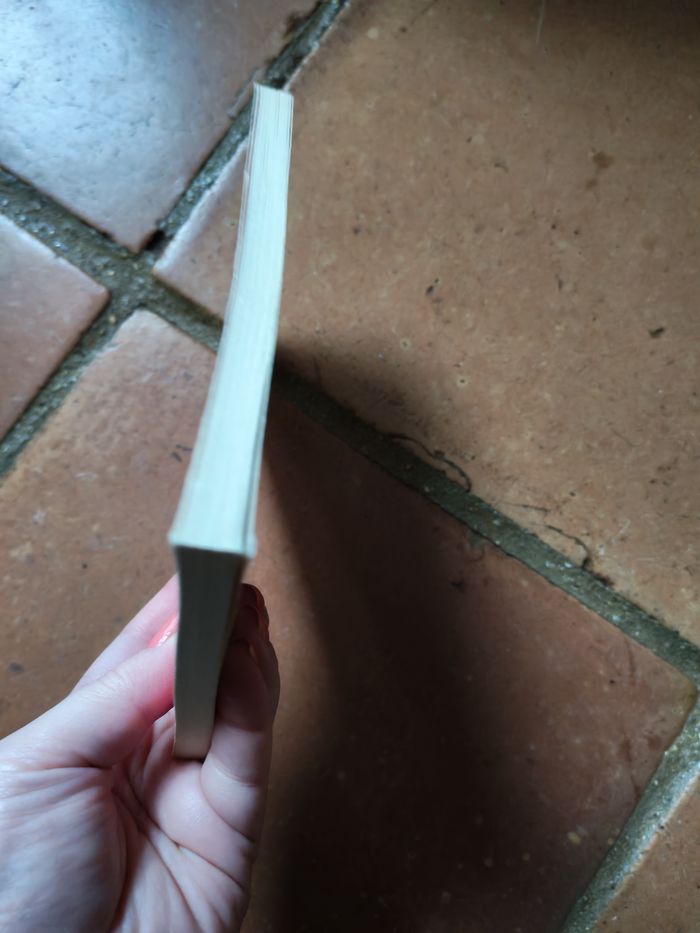 Les Frayeurs d'Emilie, livre de Franck Schmid - photo numéro 6