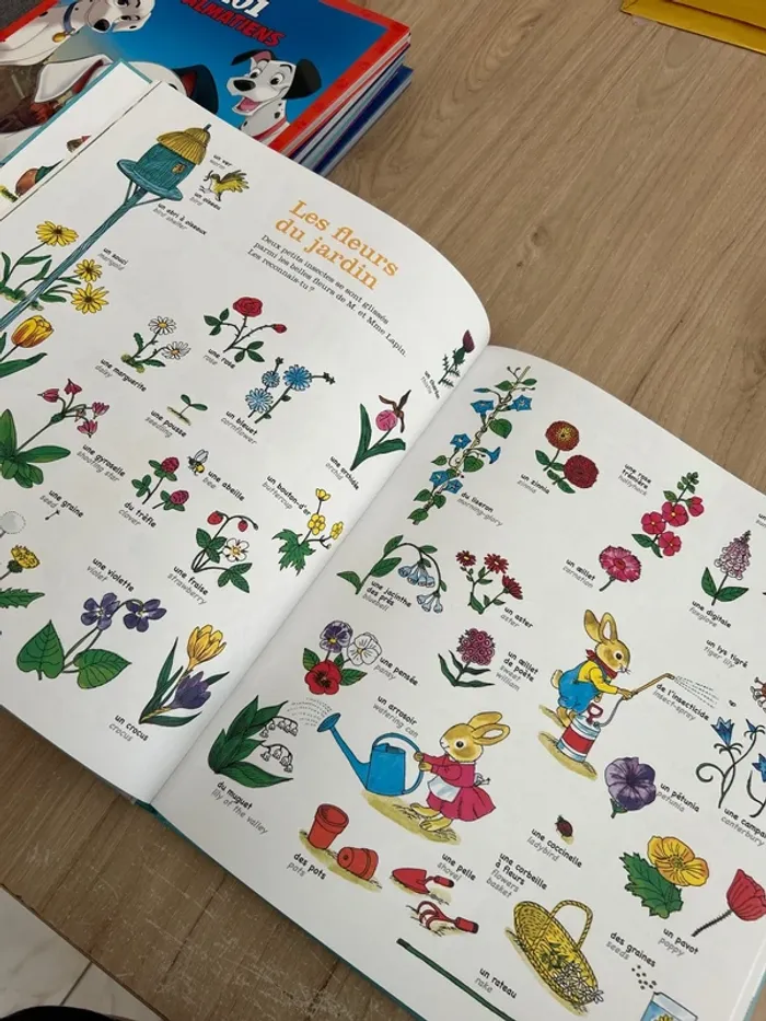 Le grand livre des mots - photo numéro 2