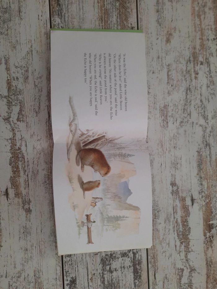 Livre cd littérature braver and thé echo - photo numéro 3